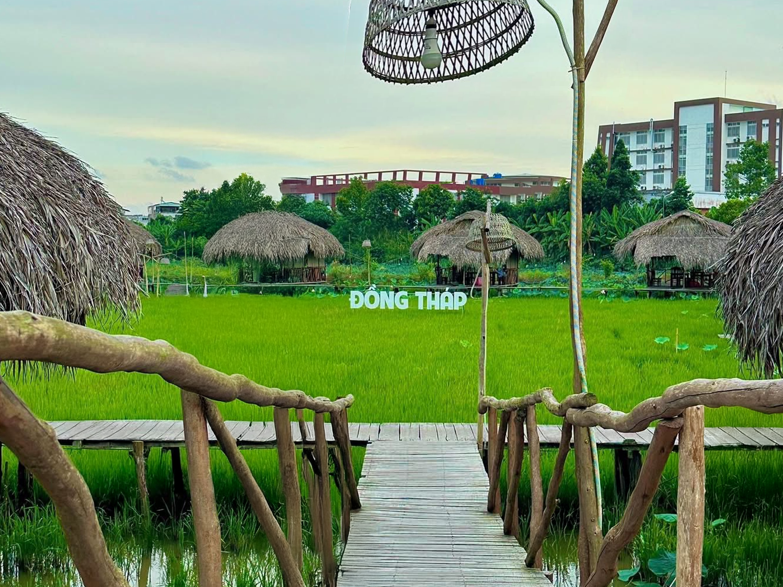 Ảnh nhỏ 1