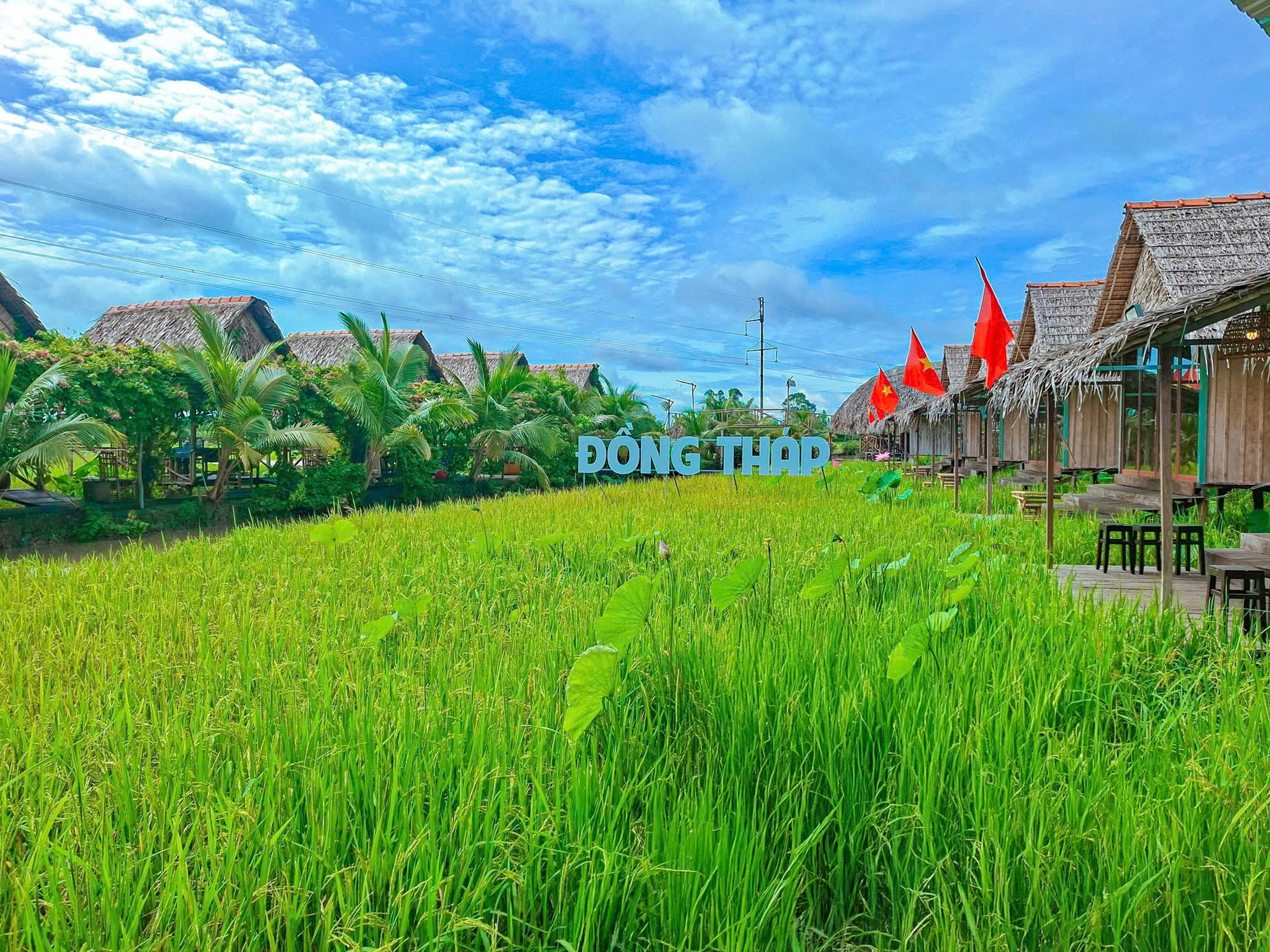 Ảnh nhỏ 1
