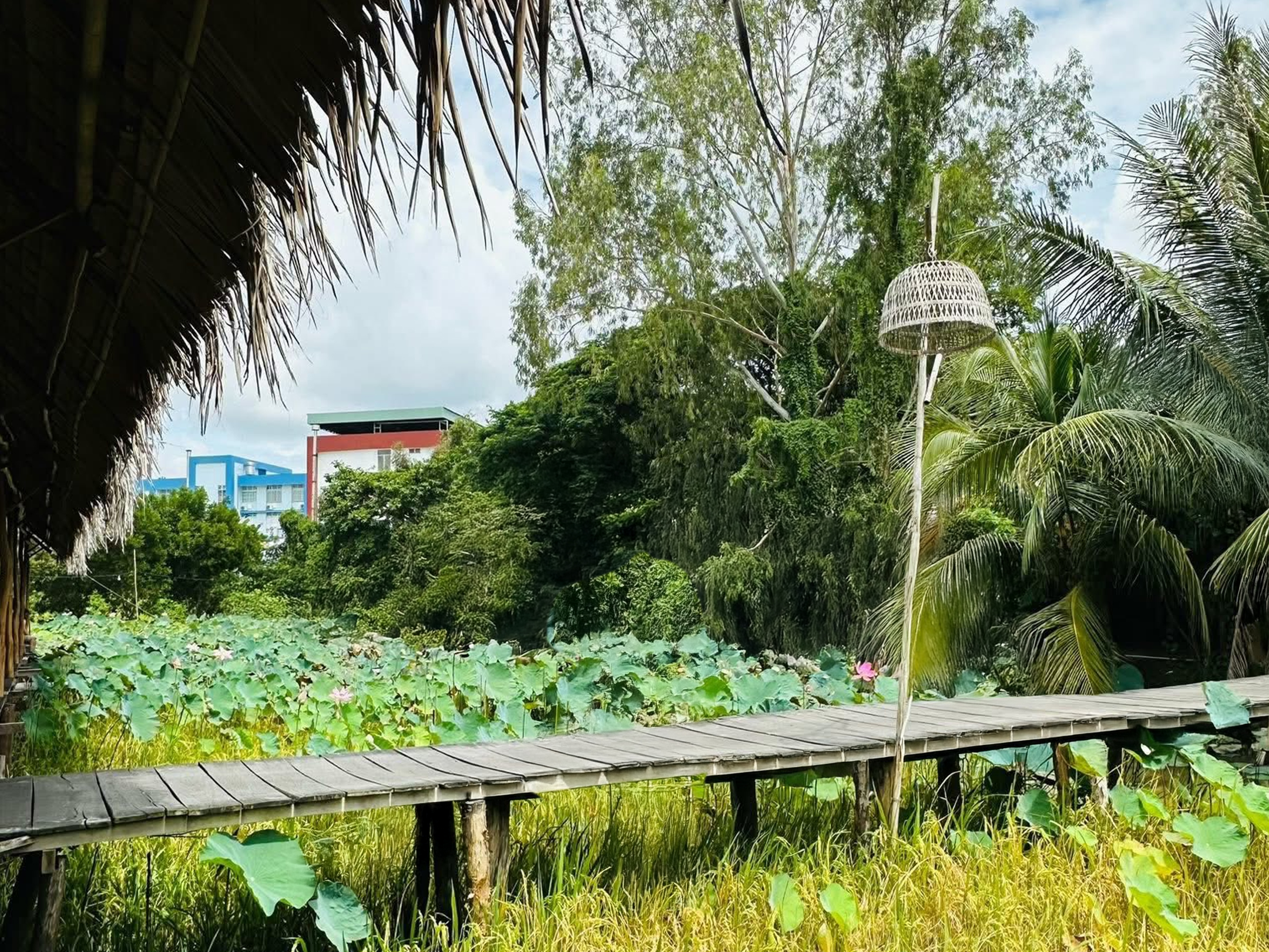Ảnh nhỏ 1