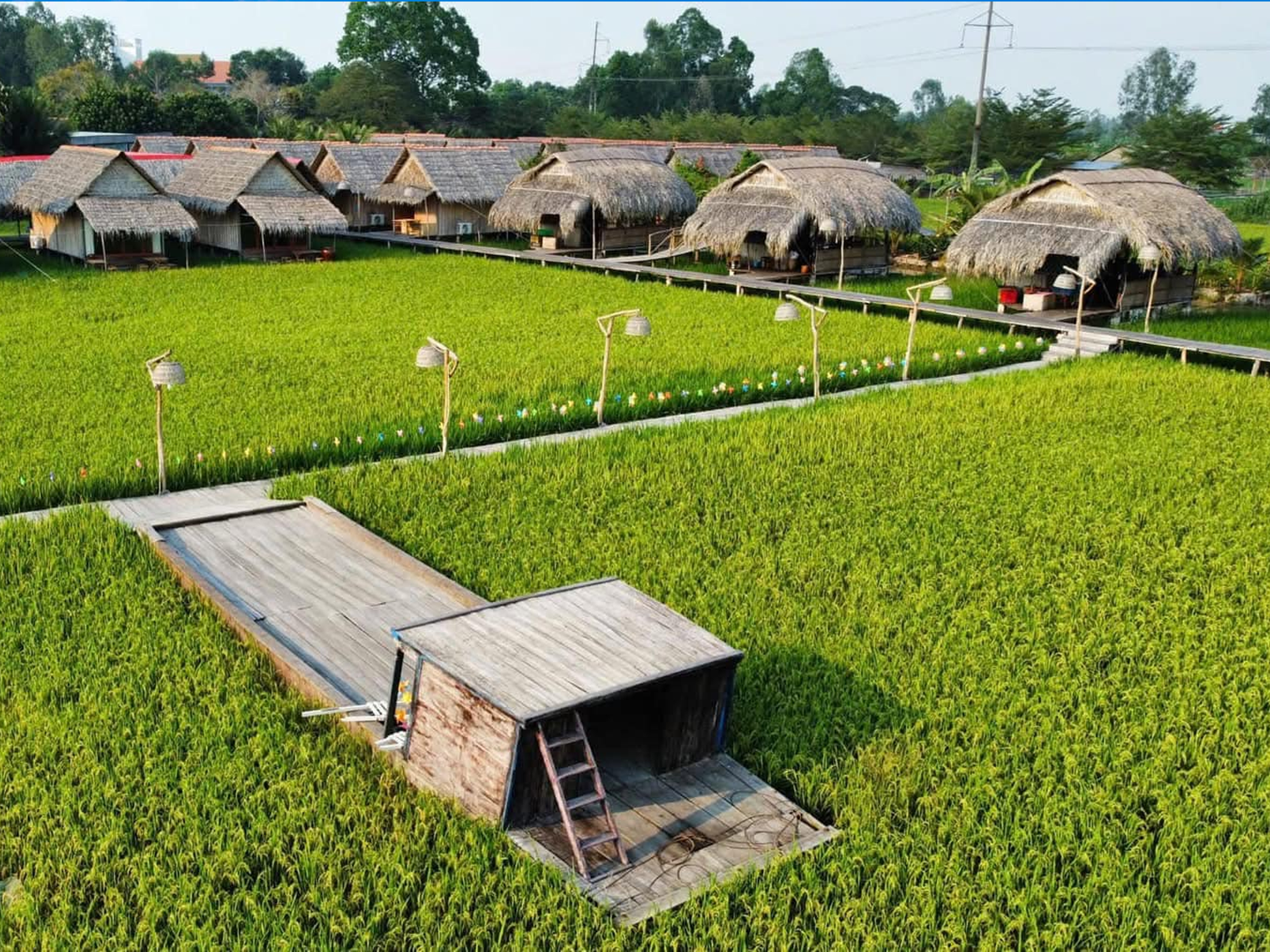 Ảnh nhỏ 1